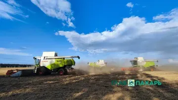 Урожай и сельхозтехника: в Нижегородской области подвели итоги уборочной кампании